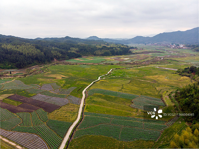 浙江泰顺田园风光图片素材
