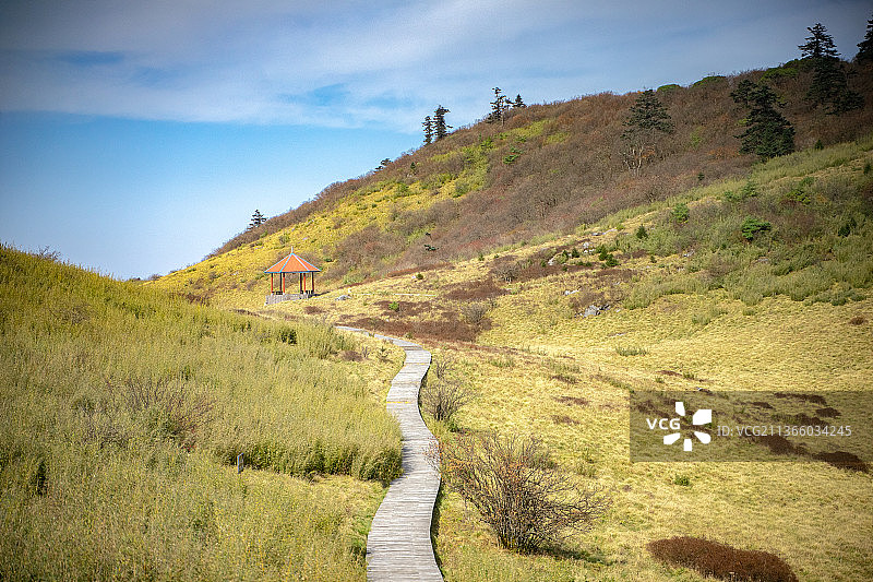 陕西省汉中市留坝县紫柏山图片素材