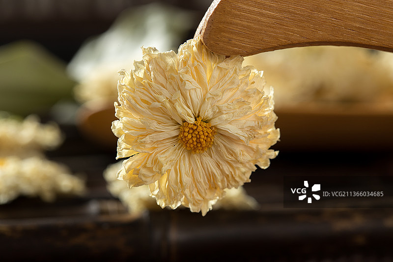 菊花花茶图片素材