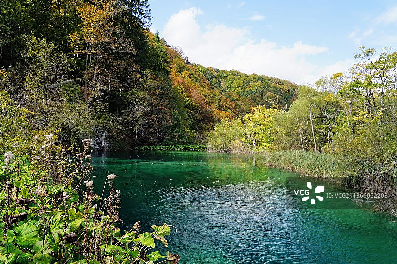 森林里的湖在天空的衬托下的景色图片素材