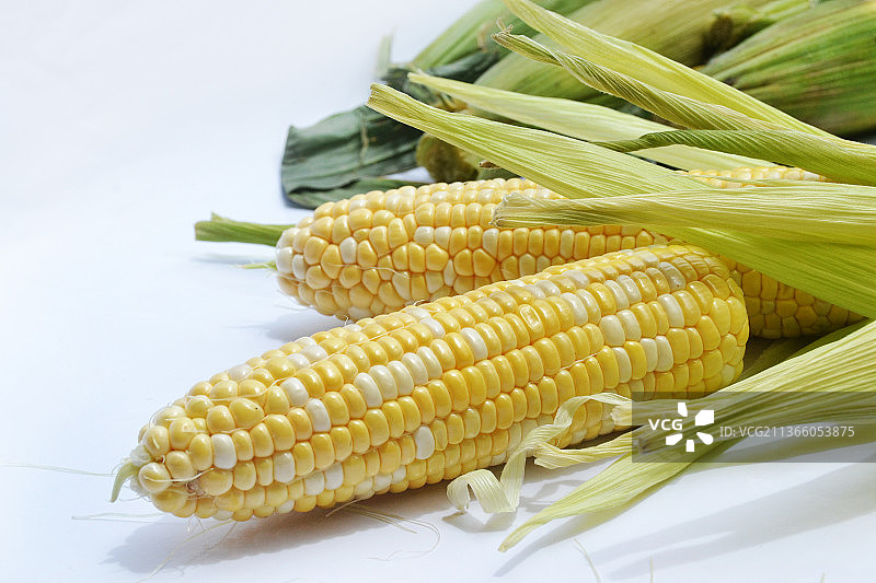 白色背景上的玉米特写，印度尼西亚登巴萨南部图片素材
