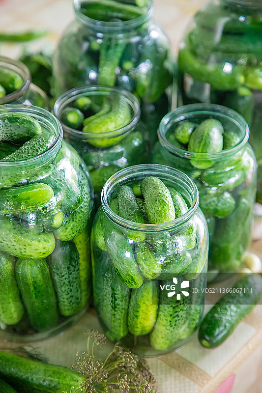 新鲜黄瓜的保鲜图片素材