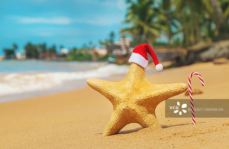 沙滩上的海星圣诞老人图片素材