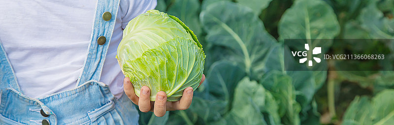 手里拿着卷心菜和西兰花的孩子，选择性聚焦图片素材