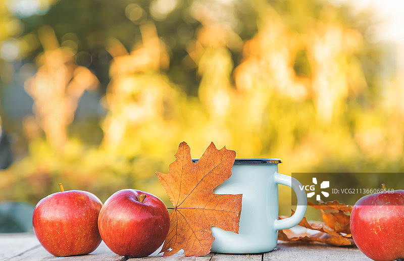 美丽的秋季背景，秋季特写，桌上的苹果图片素材