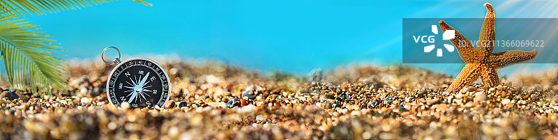 海滩上的海星特写图片素材