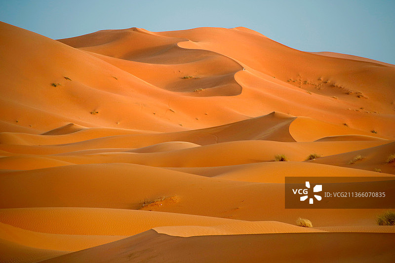 沙丘，晴朗天空下的沙漠风光图片素材