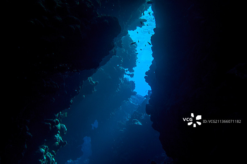 在海中游泳的女子（低角度）图片素材