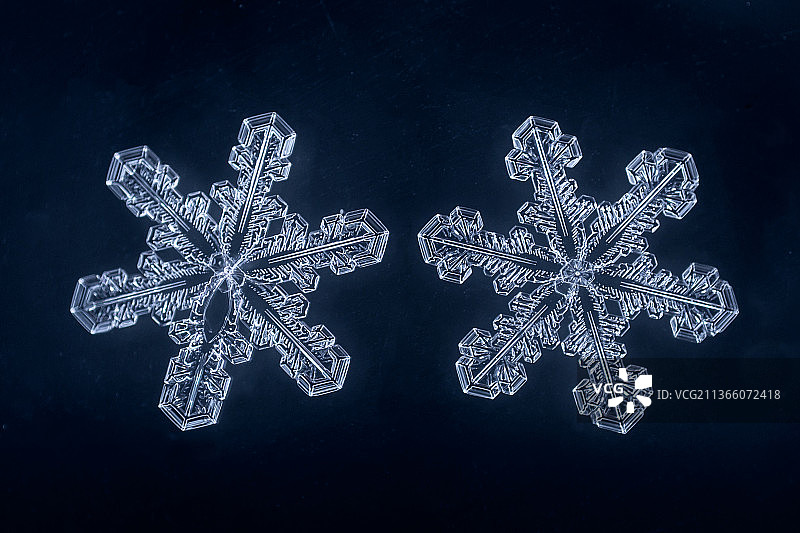 雪花装饰的特写图片素材