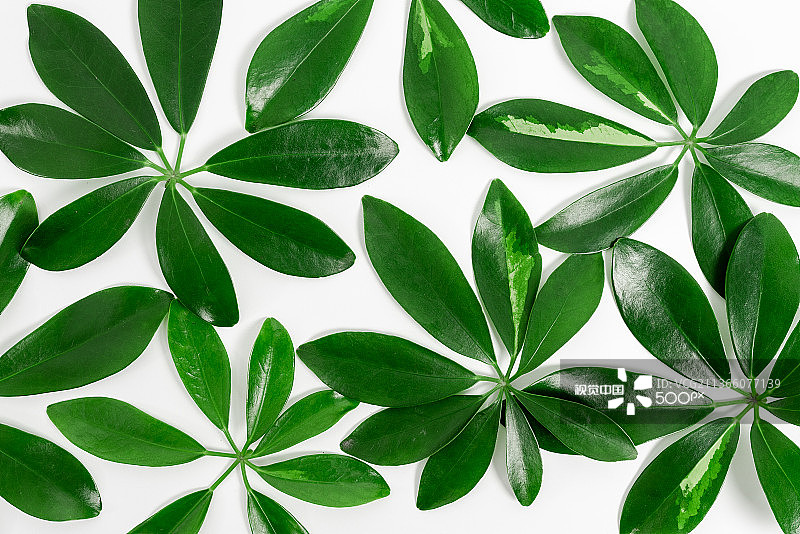 可再生能源自然主题演示设计图片素材