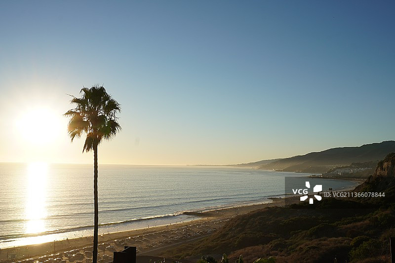 夏日氛围：日落时分海滩上的棕榈树剪影，美国太平洋帕利塞德图片素材