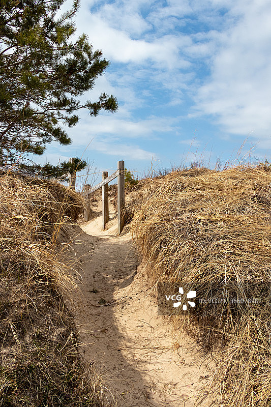 沙丘中的海滩小径，加拿大安大略省索布尔海滩图片素材