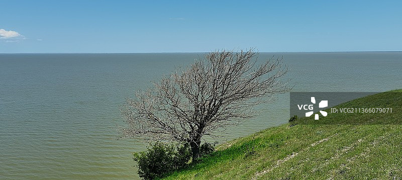 多瑙河三角洲，罗马尼亚尤里洛夫卡，晴朗天空下的壮丽海景图片素材