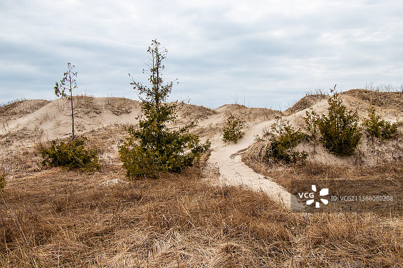 加拿大索布尔海滩的沙丘景观图片素材