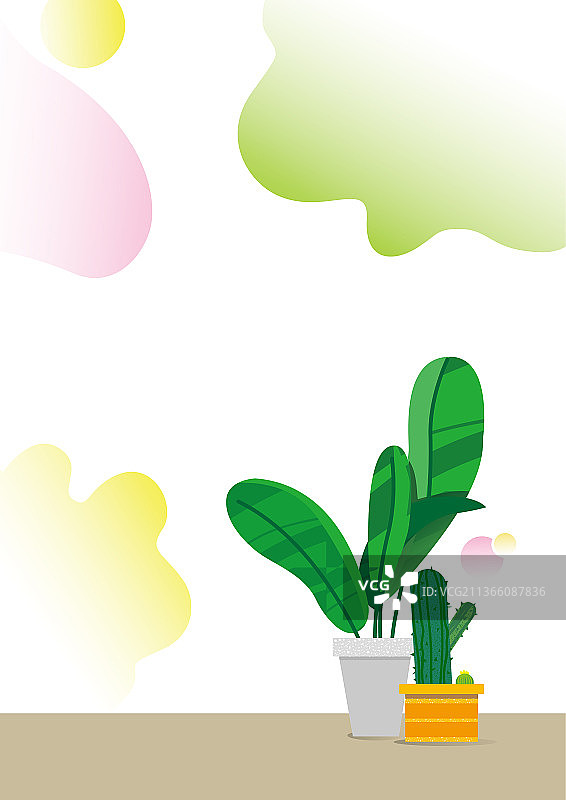 室内仙人掌绿植背景图片素材