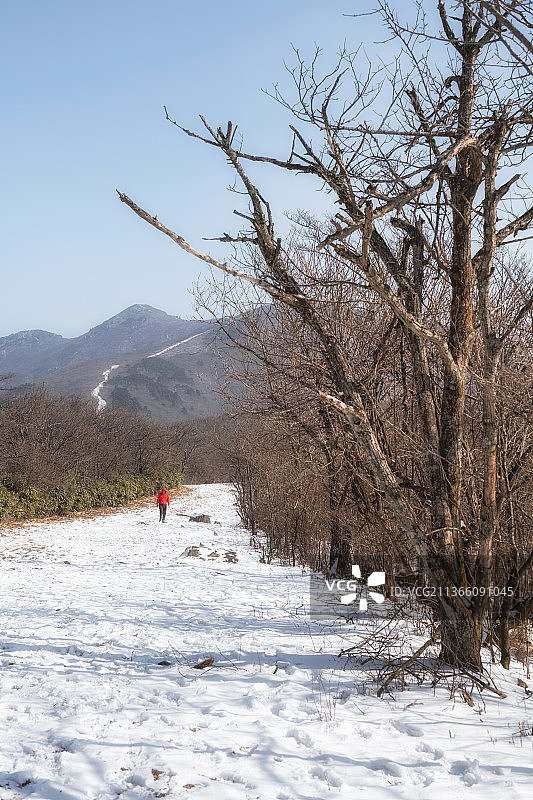 西天目山遇雪景图片素材