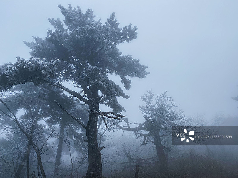天目山雾凇图片素材