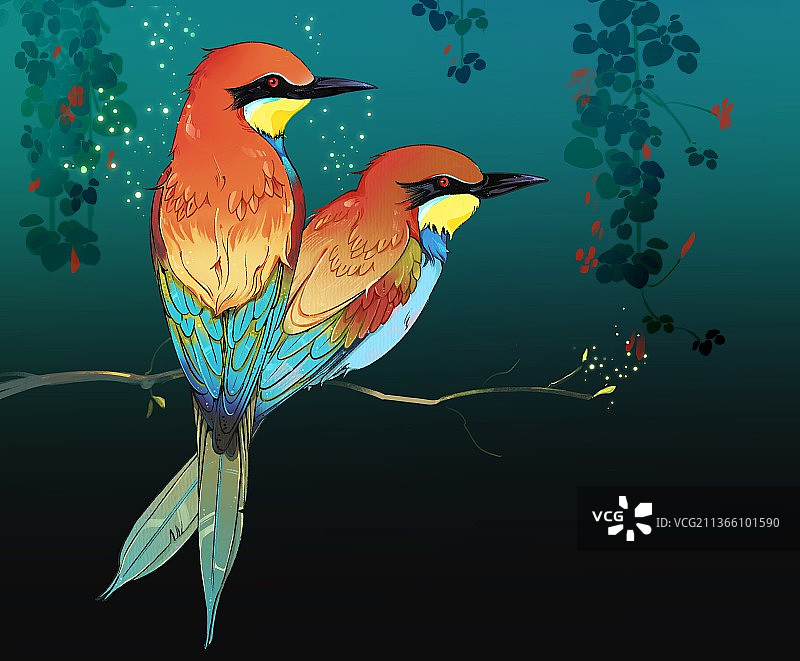 黄喉蜂虎鸟类插画图片素材