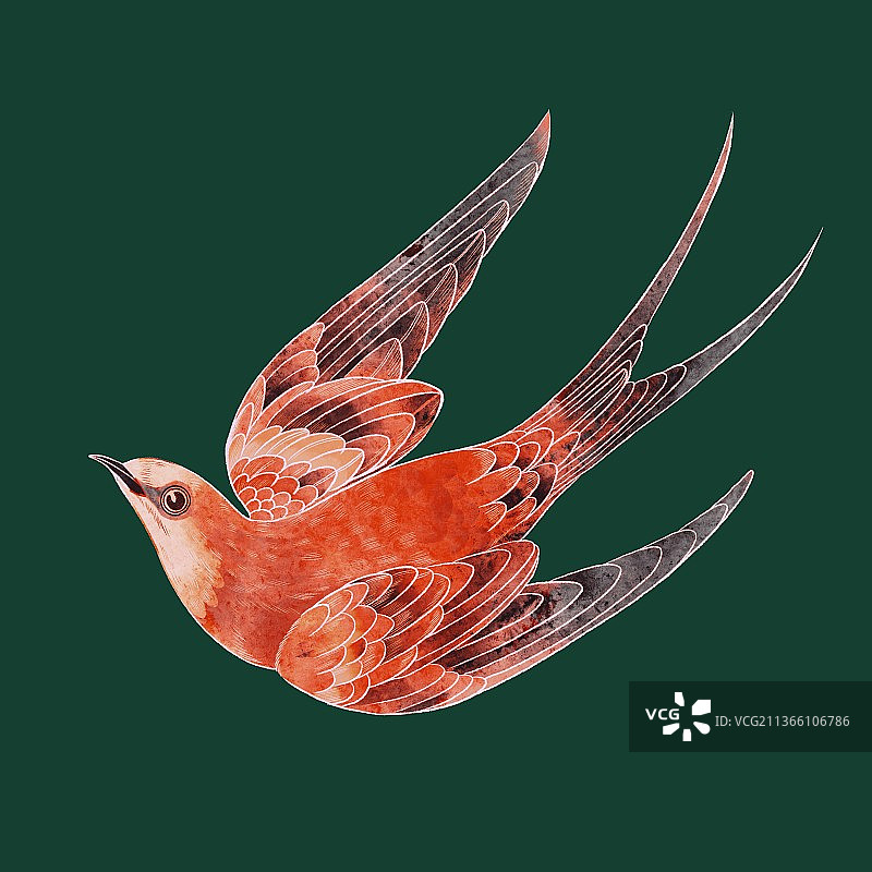 国风燕子插画元素图片素材