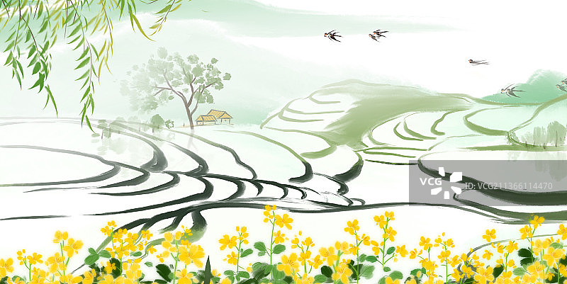 江南水乡油菜花梯田图片素材