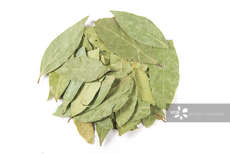 白色背景上的调料香叶图片素材