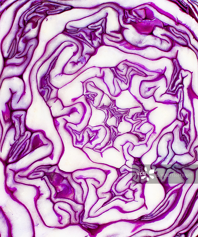 美食，炸薯条的全画幅照片图片素材