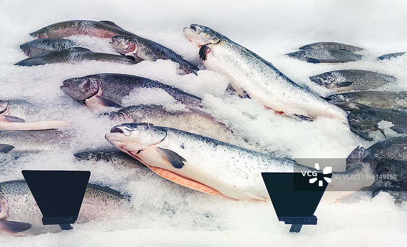 美食：雪地上的鱼，高角度拍摄图片素材