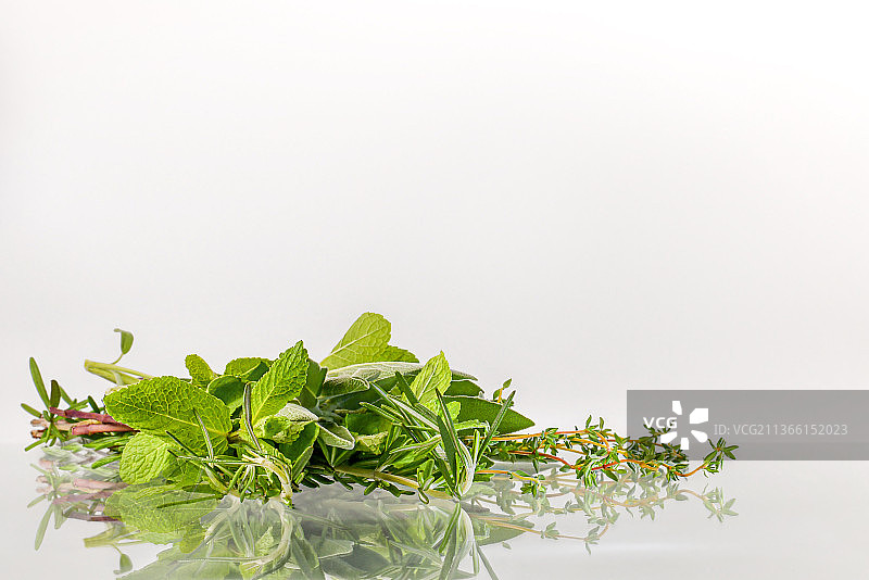 新鲜香草集合集：辛香植物茎干花束图片素材