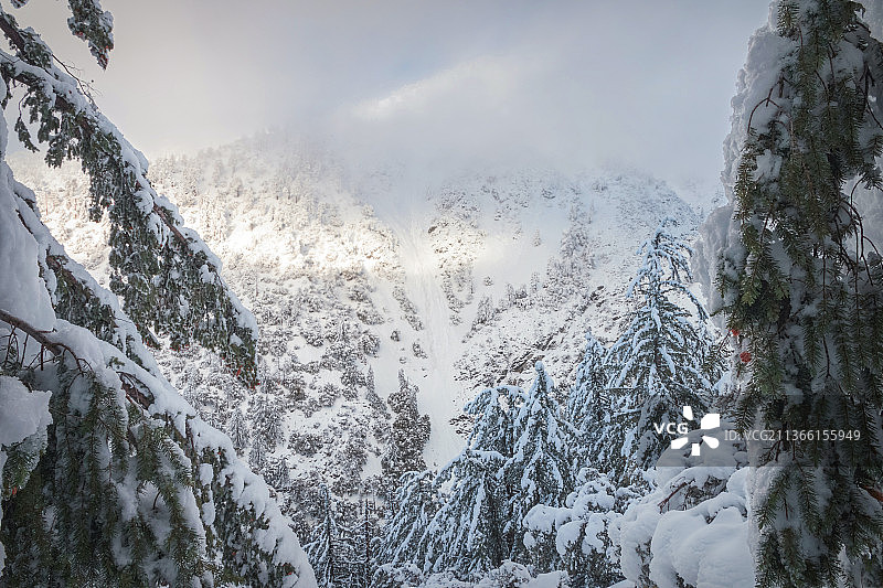 冬季仙境：白雪皑皑的群山景观，背景是天空，秃头山，美国加利福尼亚州图片素材