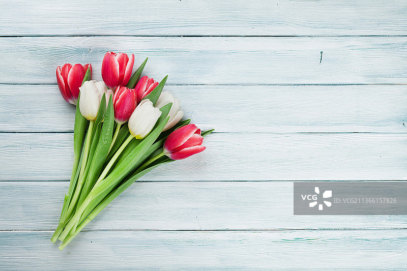 彩色郁金香花束，郁金香桌面俯视图图片素材