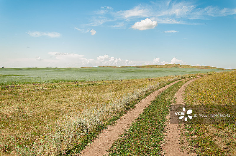 俄罗斯阿尔泰边疆区巴尔瑙尔农田的壮丽景色图片素材