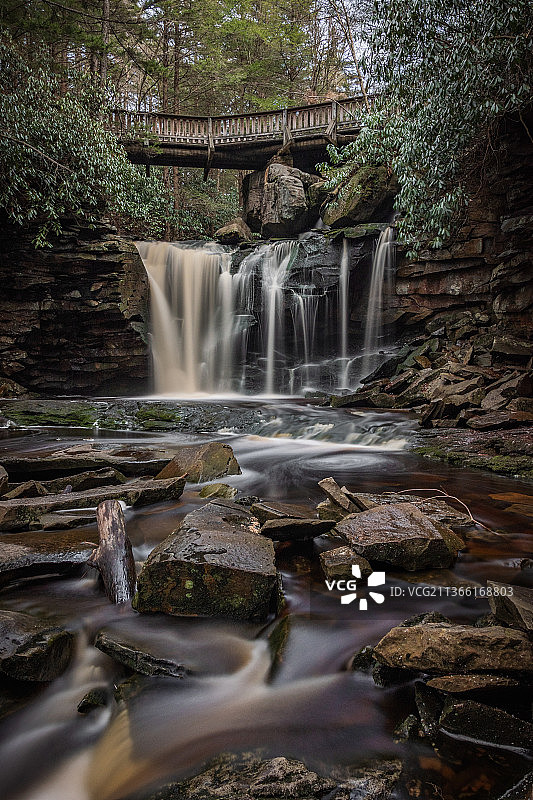 冬季埃拉卡拉瀑布的森林景观图片素材