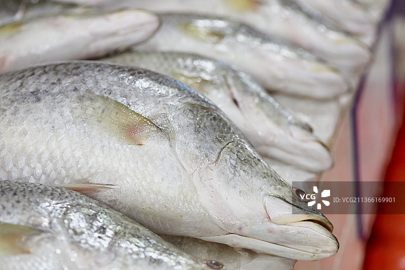 泰国海鲜市场上的新鲜海鲈鱼图片素材