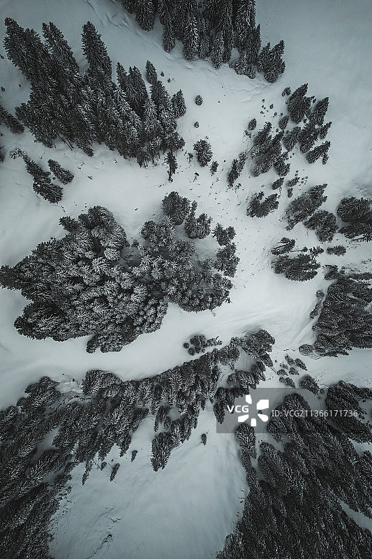 雪地风景中的松树航拍，位于瑞士加德门图片素材