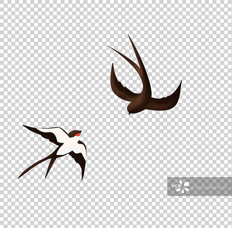 燕子卡通图片素材