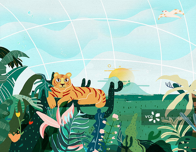 保护动物图片素材