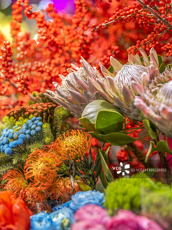 年味·花市图片素材