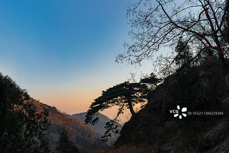 中国山东省泰安市著名旅游景点泰山风景区，山峰上的迎客松剪影图片素材