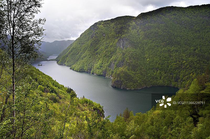 吕菲尔克自然保护区，罗加兰郡，挪威，吕菲尔克路13号，欧洲图片素材