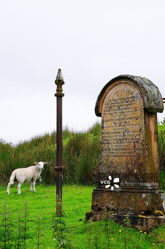 苏格兰奥本旧墓地图片素材