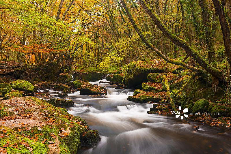 英国康沃尔郡博德明沼泽德雷恩斯伍德福伊河上的戈利萨瀑布图片素材