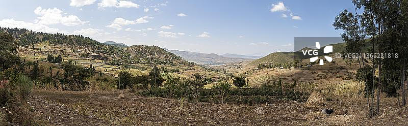 埃塞俄比亚奥罗米亚耕地区域全景图片素材