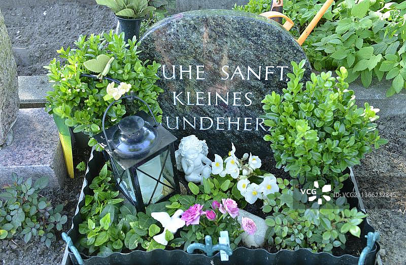 宠物公墓，Hausvaterweg，Falkenberg，Lichtenberg，柏林，德国，欧洲图片素材