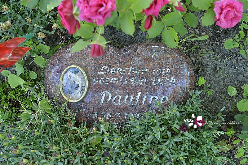 宠物公墓，Hausvaterweg，Falkenberg，Lichtenberg，柏林，德国，欧洲图片素材