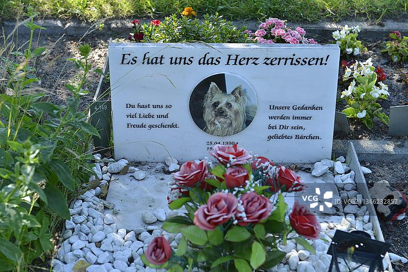 宠物公墓，Hausvaterweg，Falkenberg，Lichtenberg，柏林，德国，欧洲图片素材