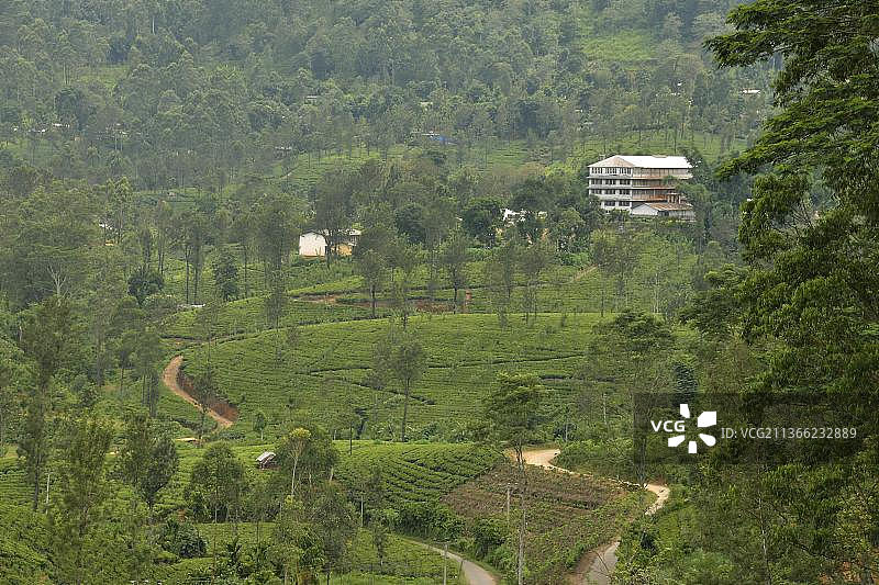 斯里兰卡努瓦拉埃利亚哈罗山茶叶工厂图片素材