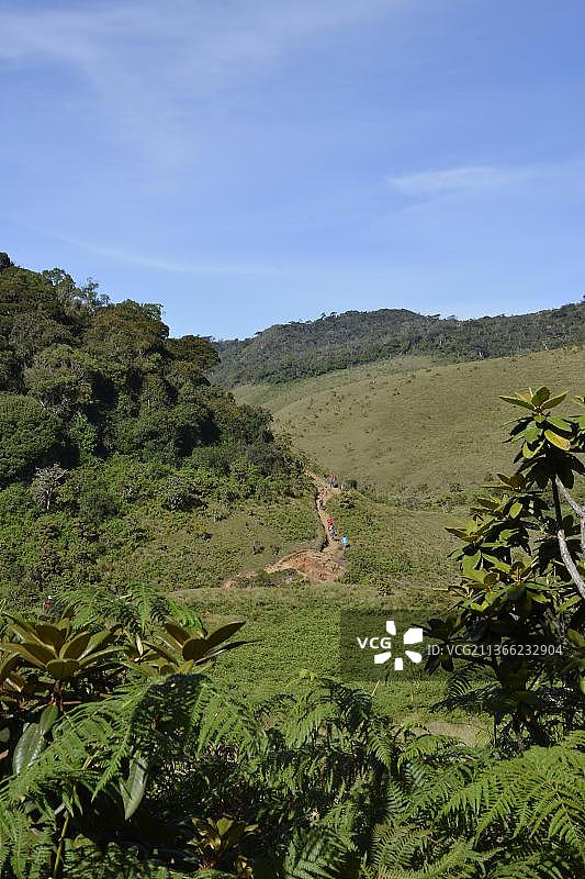 徒步旅行者，霍顿平原，斯里兰卡，亚洲图片素材