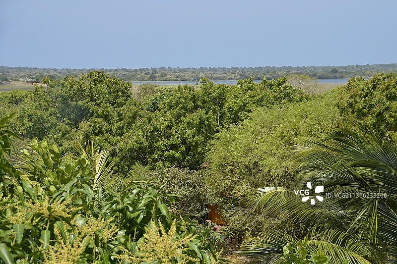 斯里兰卡蒂瑟默哈拉马自然公园图片素材