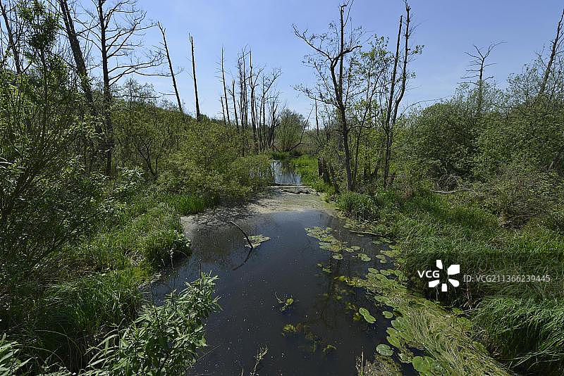 泰格勒弗里斯河，吕巴尔斯，赖尼肯多夫，柏林，德国，欧洲图片素材