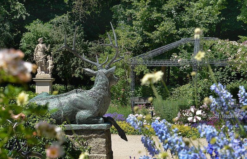 德国柏林蒂尔加滕公园玫瑰园图片素材